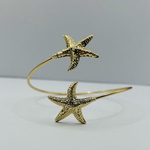 მკლავის აქსესუარი