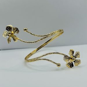 მკლავის აქსესუარი