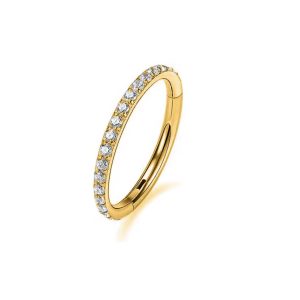 პირსინგი (ცხვირი, ყური)